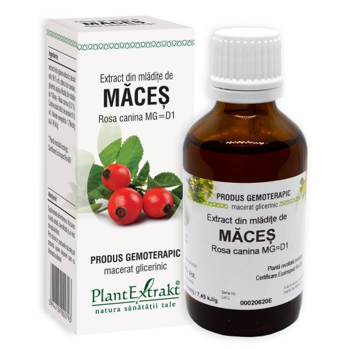 Extract din mladite de MACES  MG=D1 (50 ml)