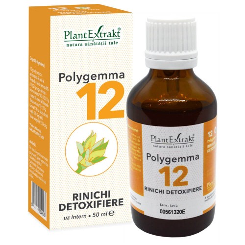 Polygemma 12 x 50ml (Rinichi - detoxifiere)