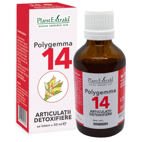 Polygemma 14 x 50ml (Articulatii - detoxifiere)