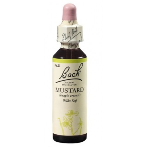 Mustard (Muștar sălbatic) x 20 ml