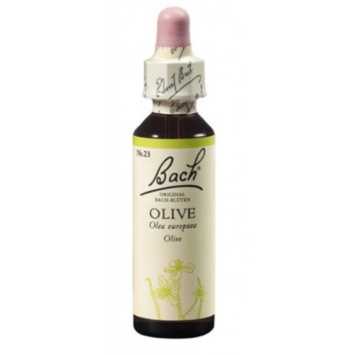 Olive (Măslin) x 20 ml